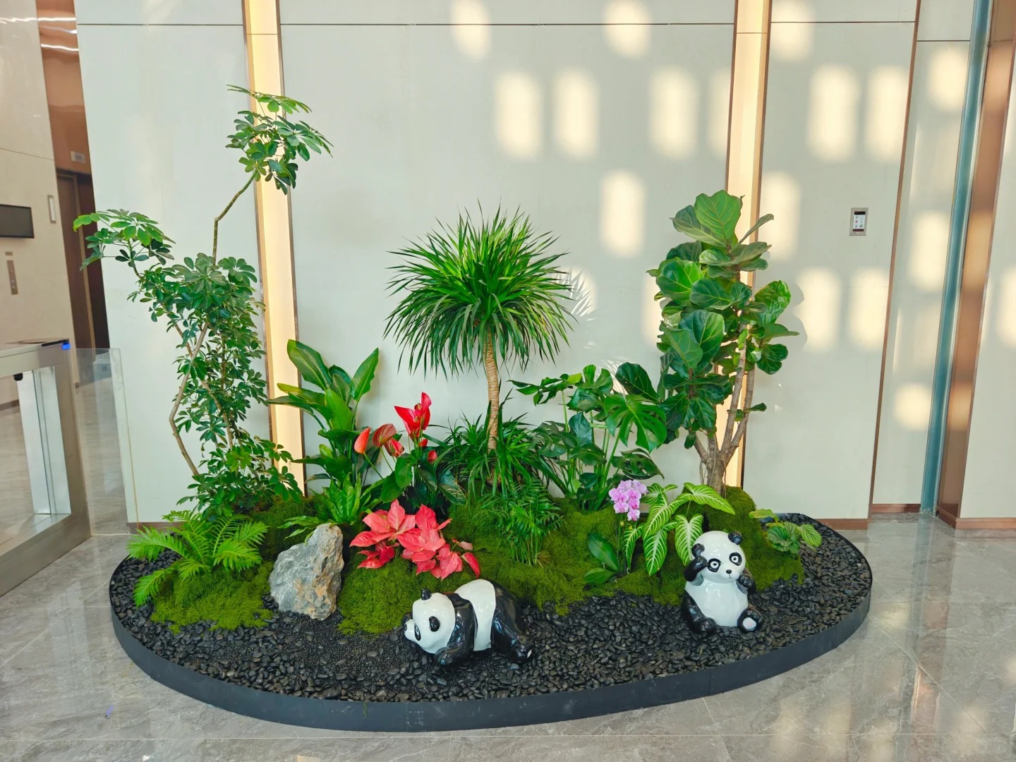 余姚植物租摆,轻松营造温馨舒适的室内环境